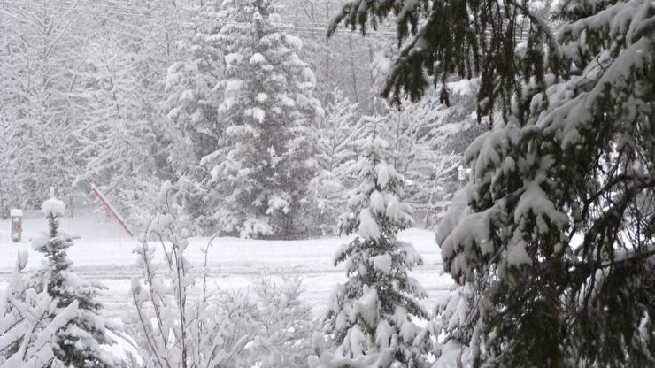 canmore-snowday2