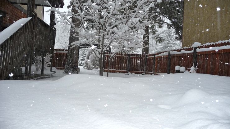 canmore-snowday5