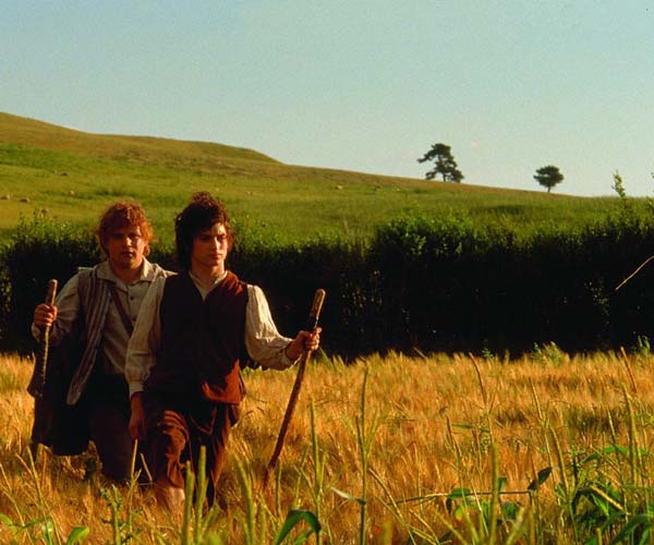 frodo_sam